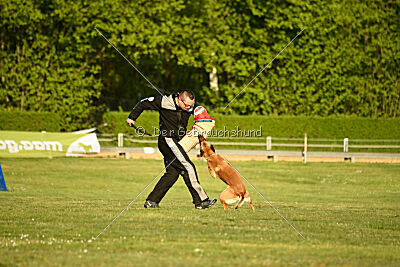 Gitano vom Haus Mecki