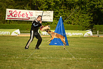 Gitano vom Haus Mecki