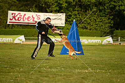 Gitano vom Haus Mecki