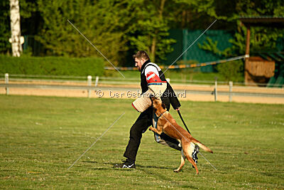 Gitano vom Haus Mecki
