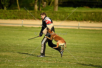 Gitano vom Haus Mecki