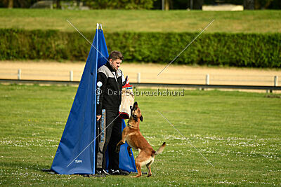 Gitano vom Haus Mecki