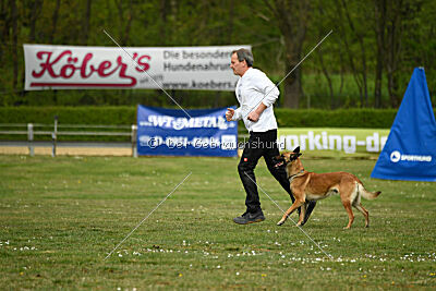 Gitano vom Haus Mecki