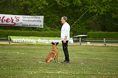 Gitano vom Haus Mecki