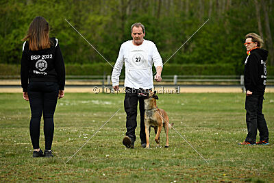 Gitano vom Haus Mecki