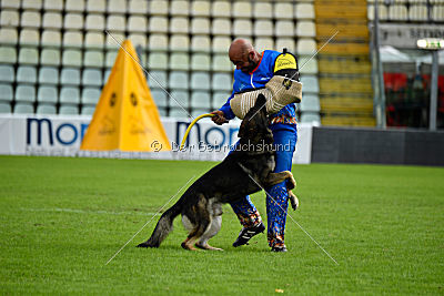 Go vom wilden Hexenkessel
