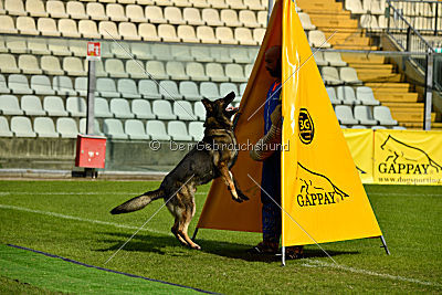 Go vom wilden Hexenkessel