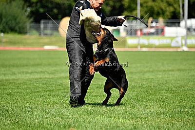 Gollum vom Tanneneck