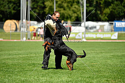 Gollum vom Tanneneck