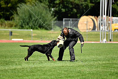 Gollum vom Tanneneck