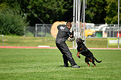 Gollum vom Tanneneck