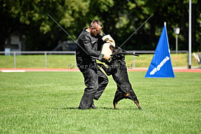 Gollum vom Tanneneck