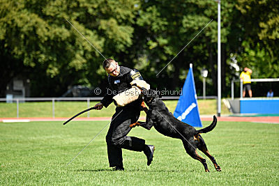 Gollum vom Tanneneck