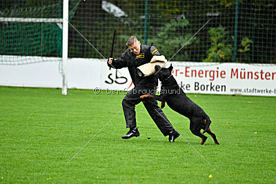 Gollum vom Tanneneck