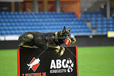 Golttvizen Hof Orry