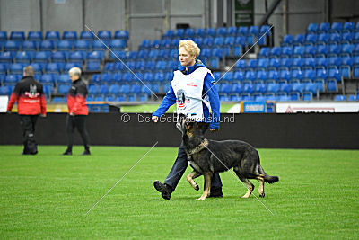 Golttvizen Hof Orry