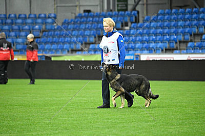 Golttvizen Hof Orry