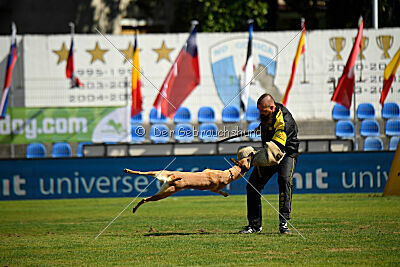 Gouache iz Gratsiano