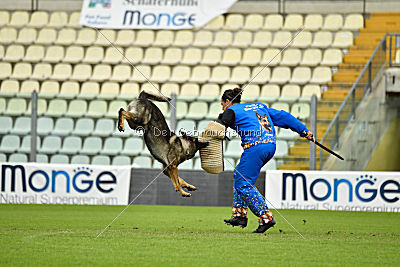 Grando de la Vieja Encina
