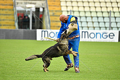 Grando de la Vieja Encina