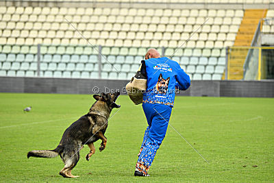 Grando de la Vieja Encina