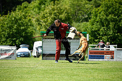 Greek vom schnellen Falken