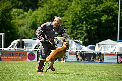 Greek vom schnellen Falken