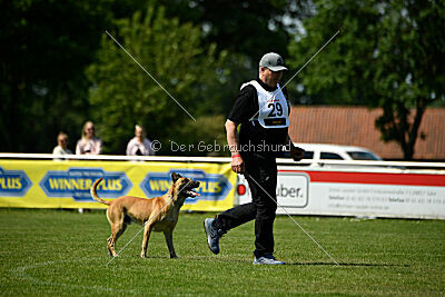 Greek vom schnellen Falken