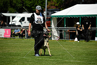 Greek vom schnellen Falken