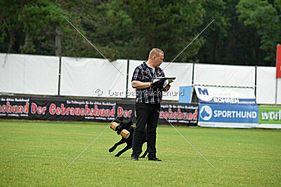 Greif vom Hatzbachtal