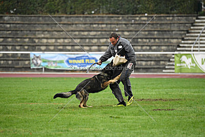 Grisu vom Wolfsdreieck
