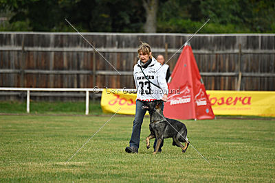 Gucci vom Kalten Born