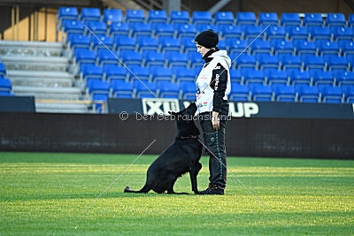 Guccy Yucero Bohemia