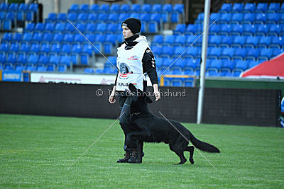 Guccy Yucero Bohemia