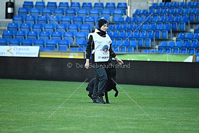 Guccy Yucero Bohemia