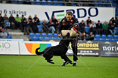 Guccy Yucero Bohemia