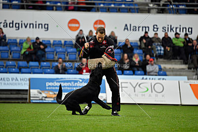 Guccy Yucero Bohemia