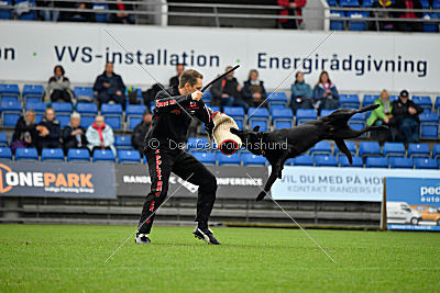 Guccy Yucero Bohemia