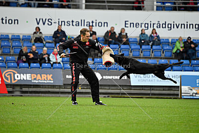 Guccy Yucero Bohemia