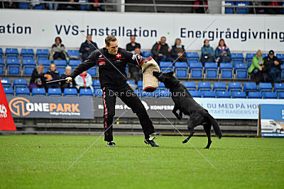 Guccy Yucero Bohemia