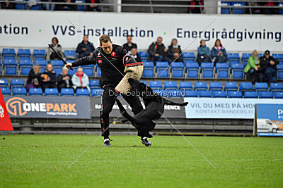 Guccy Yucero Bohemia