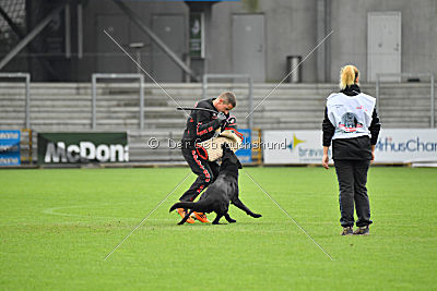 Guccy Yucero Bohemia