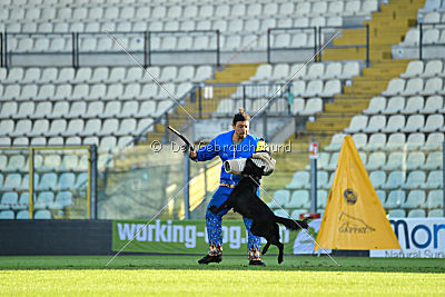 Guccy Yucero Bohemia