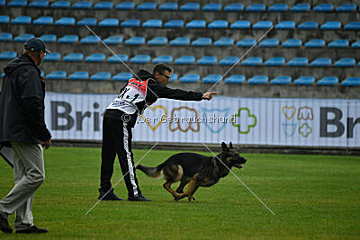 Guliat de Santa Rosa