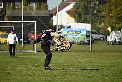 Gun vom Lausitzeck