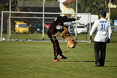 Gun vom Lausitzeck