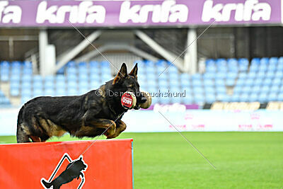 Gustl vom Haus Pixner