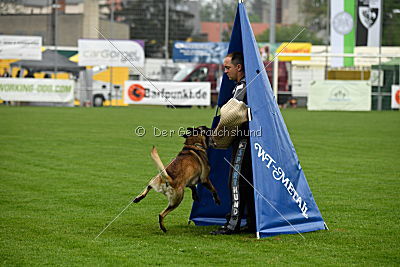 Haddocks von der schoenen Ecke
