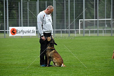 Haddocks von der schoenen Ecke
