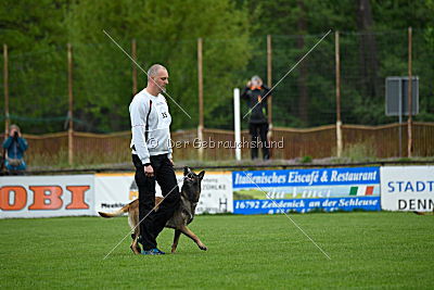 Haddocks von der schoenen Ecke